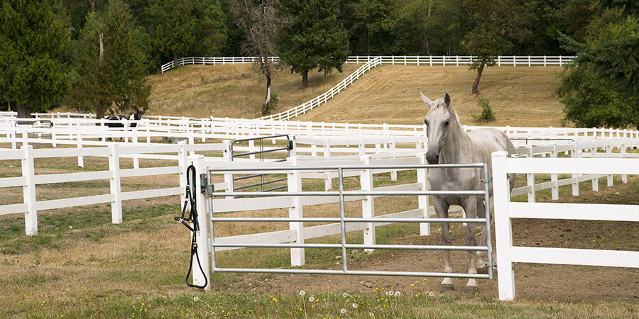 Austin TX Horse Fence Contractor